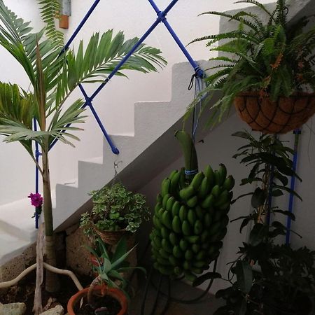 La Haciendita De La Casita Azul Puerto de la Cruz  Bagian luar foto